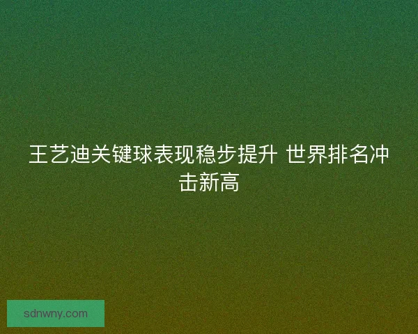 王艺迪关键球表现稳步提升 世界排名冲击新高