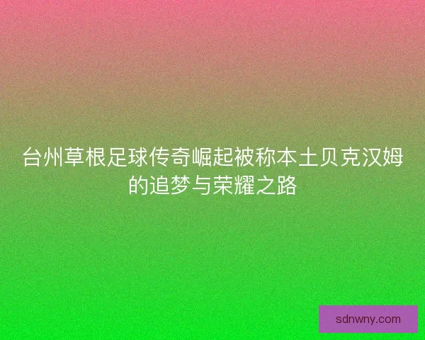 台州草根足球传奇崛起被称本土贝克汉姆的追梦与荣耀之路