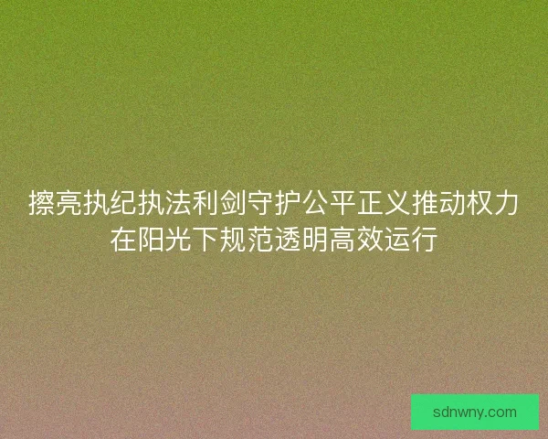 擦亮执纪执法利剑守护公平正义推动权力在阳光下规范透明高效运行