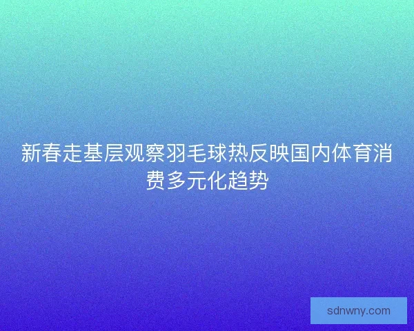 新春走基层观察羽毛球热反映国内体育消费多元化趋势