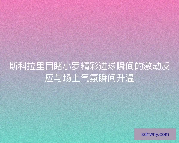 斯科拉里目睹小罗精彩进球瞬间的激动反应与场上气氛瞬间升温