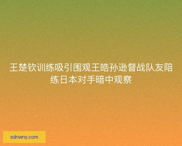 王楚钦训练吸引围观王皓孙逊督战队友陪练日本对手暗中观察 王楚钦训练吸引围观王皓孙逊督战队友陪练日本对手暗中观察